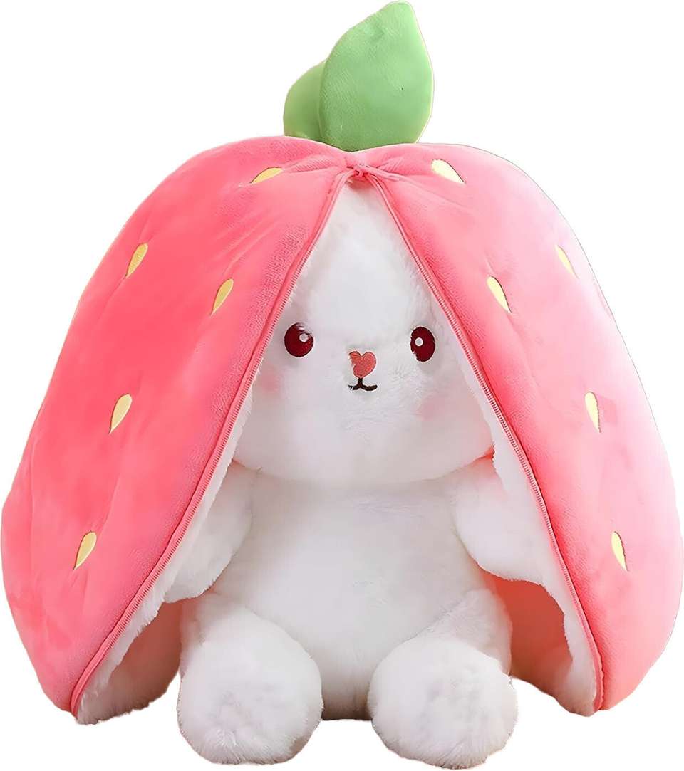 Pink Reversible Plushie