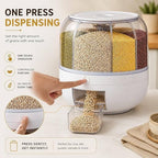 Multi Storage Container for Kitchen