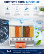 Multi Storage Container for Kitchen